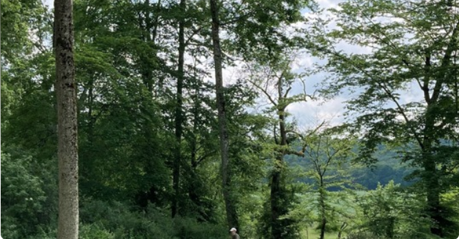 Balade de l'été 